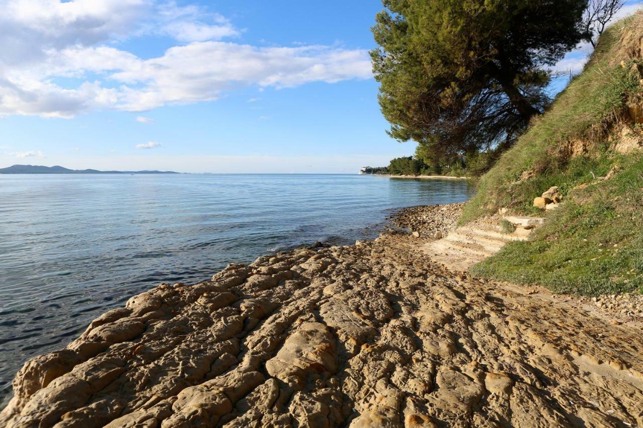 Apartment Wolverine Zadar