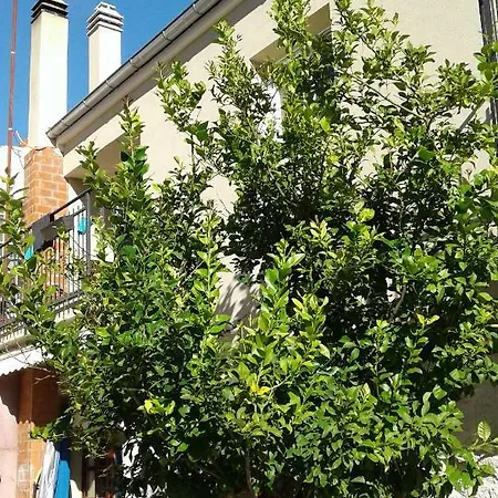 Wolverine Residence Zadar Exterior foto
